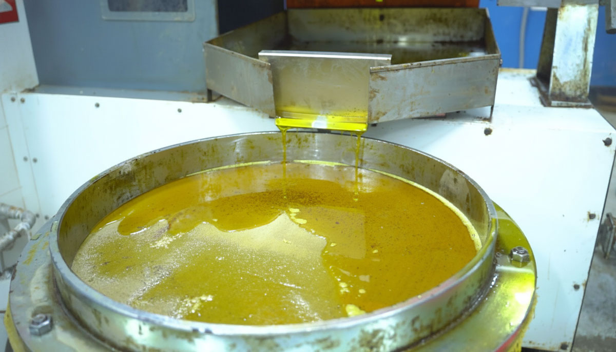 Freshly Extracted Oil Flowing Through the Press