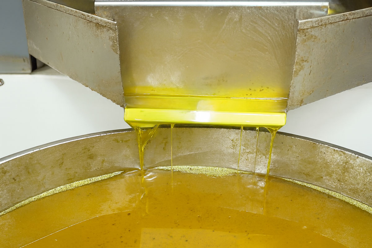 Pure Mustard Oil Dripping into the Collection Basin